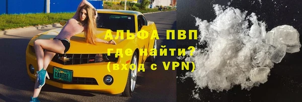 шишки Белоозёрский