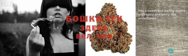 гашик Баксан