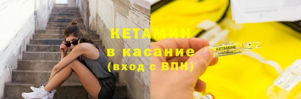 шишки Белоозёрский