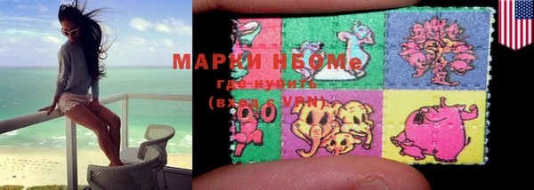 шишки Белоозёрский
